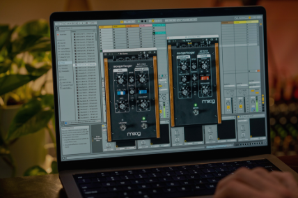 Moog Moogerfooger Effects Bundle